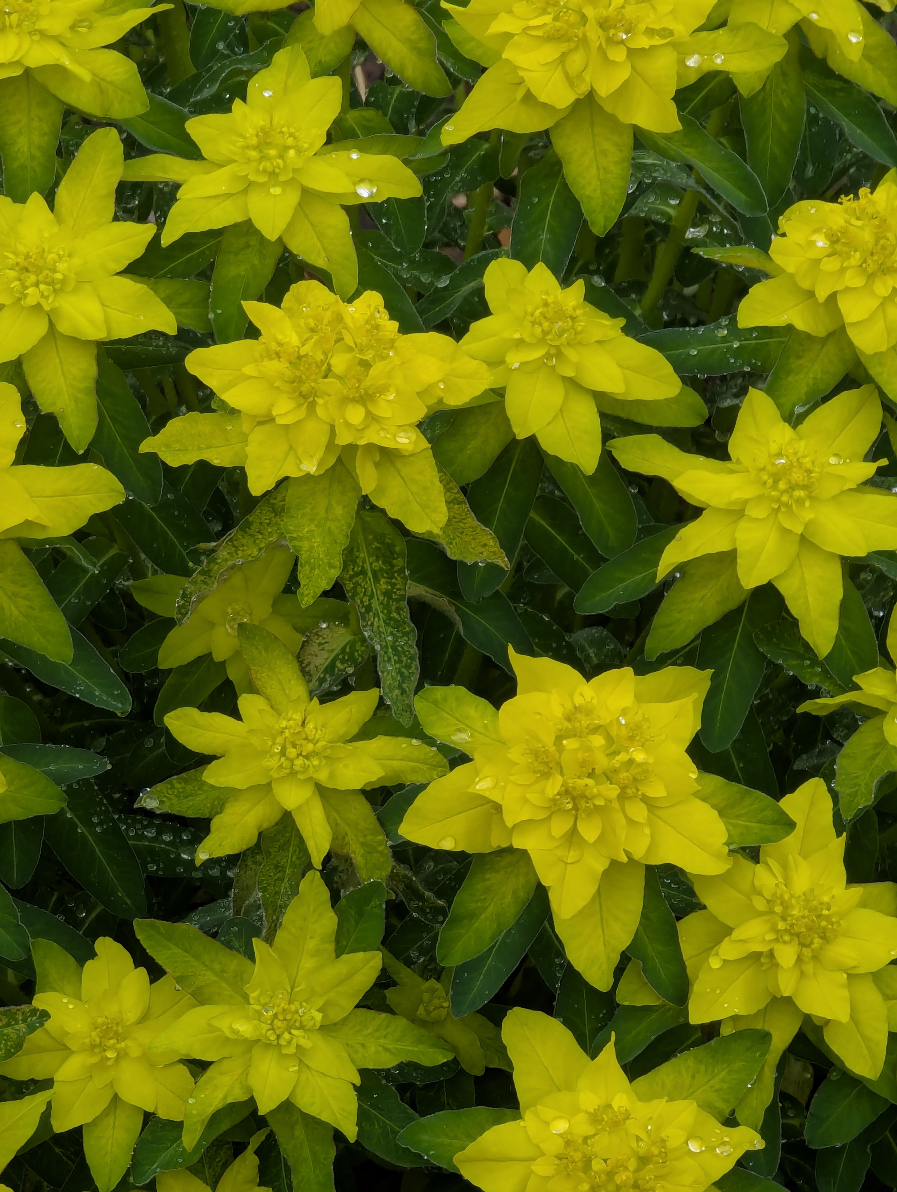 Birthday Trip to Canada, University of Alberta